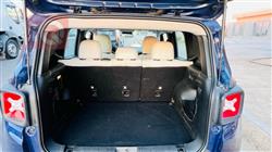 جيب رينيجيد